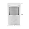 wireless pir ip camera
